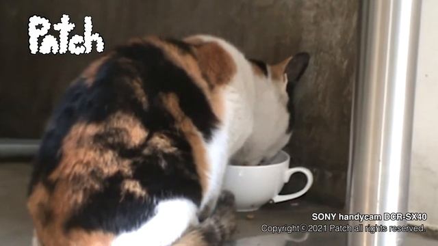 SONY HandyCam DCR-SX40 смотреть онлайн