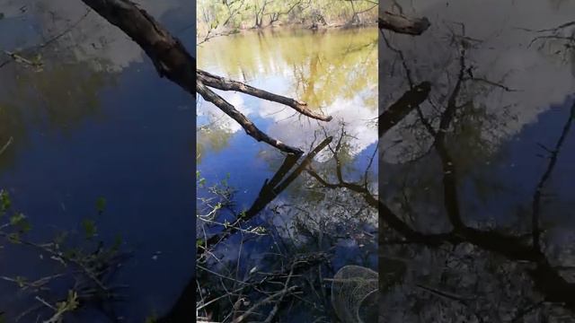 рыбалка в зарошом озере с другом смотреть онлайн
