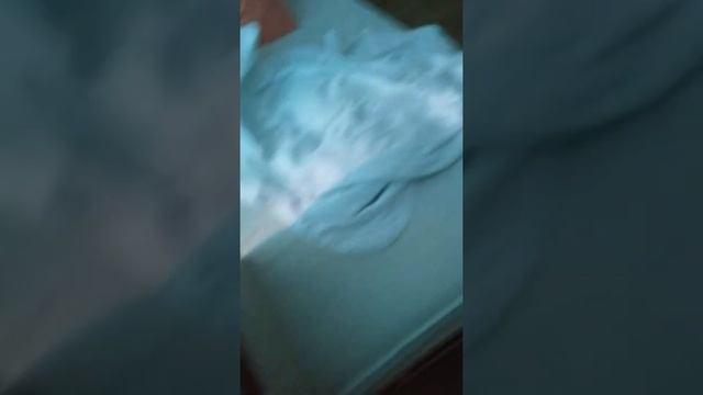 VID 20181221 132100 смотреть онлайн
