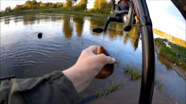 Ловля на поплавок на Десногорском водохранилище смотреть онлайн