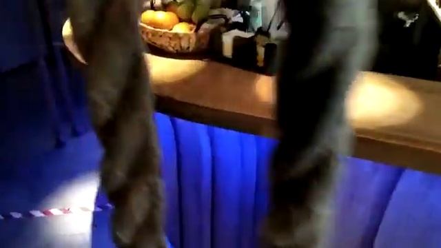 Изготовление барных стоек смотреть онлайн