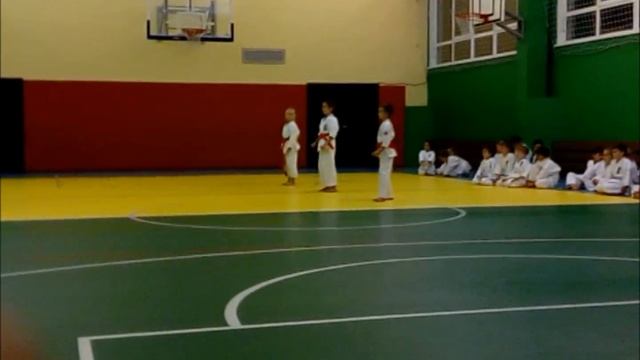 ПОКАЗЫВАЮ КАТА КИОКУШИН КАРАТЭ. ПРИНЦЕССА МИЛАНА смотреть онлайн