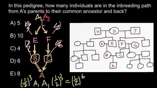 Simple Inbreeding Problem and Solution