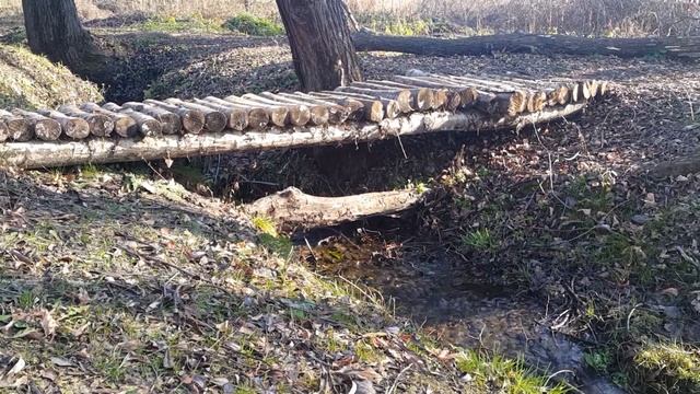 Памятник природы. Липецкая область. Храм Дмитрия Солунского с. Коробовка. Святой источник. смотреть онлайн
