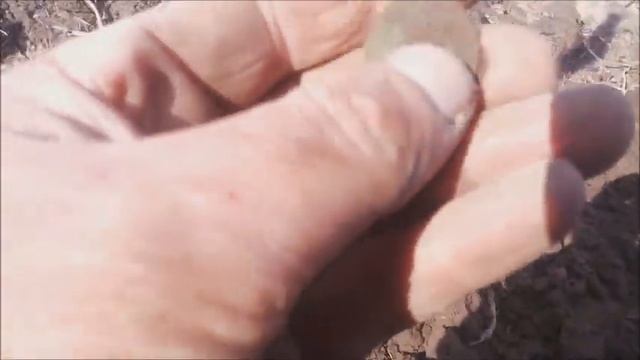 супер мега удачный коп КУЧА МОНЕТ и КРУТОЙ КРЕСТ!!! смотреть онлайн