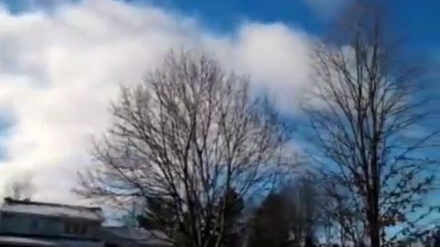 front_yard_flying смотреть онлайн