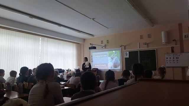 домашние животные 2 класс смотреть онлайн