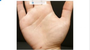 Смена работы на руке. Как посмотреть? линия судьбы, карьера, бизнес, браслеты на ладони. Хиромантия