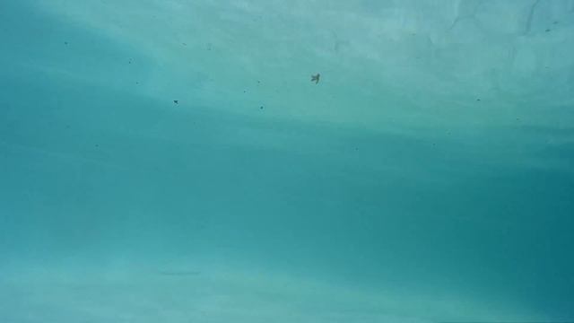 ТЕСТ КАМЕРЫ SJCAM M10 CUBE/ ПРОВЕРКА АКВАБОКСА