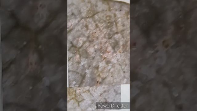 Строительные Изыски