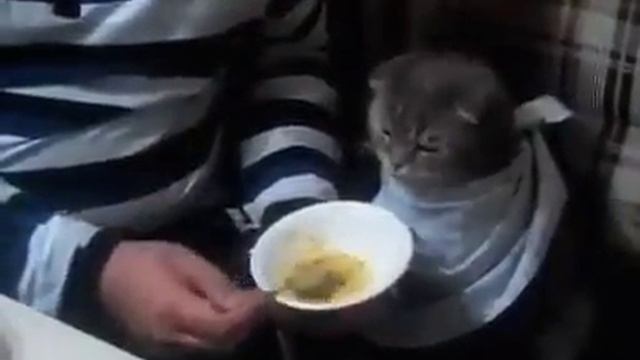Когда дети выросли, а внуков еще нет. смотреть онлайн