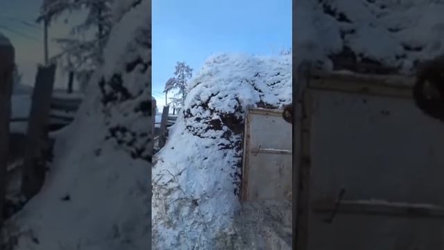 Как Содержат Скотину в Самом суровом месте в Мире. Оймякон. Россия. смотреть онлайн