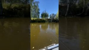 Лодочный мотор Suzuki DF6 4 такта. Выход на глиссирование на 300 лодке.