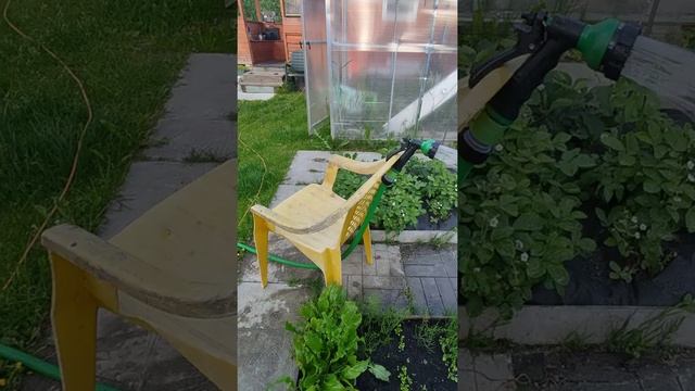 Дачный лайфхак по поливу грядок. Как правильно поливать грядки без присутствия? смотреть онлайн