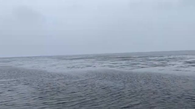 Какое спокойное море. смотреть онлайн