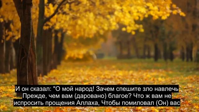 Глава 27 Муравей, Чрезвычайно Мощное Чтение Корана, 90+ Языковых Субтитров смотреть онлайн