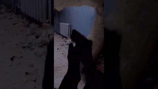 Unrecord - САМАЯ РЕАЛИСТИЧНАЯ ИГРА В МИРЕ смотреть онлайн