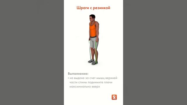 ? Шраги с резинкой смотреть онлайн