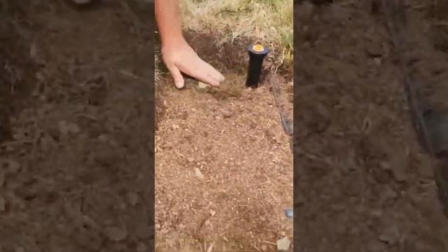 Система полива Rain Bird