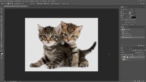 Как заменить фон в фотошопе