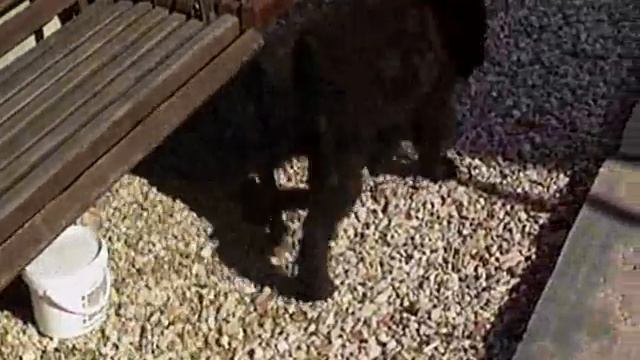 Dana 06.09.2011 смотреть онлайн