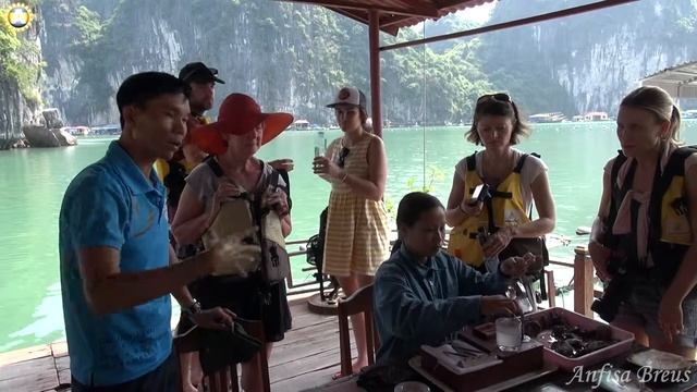 freelancelifestyle ru Vietnam 63 2 Bai Tu Long Bay смотреть онлайн