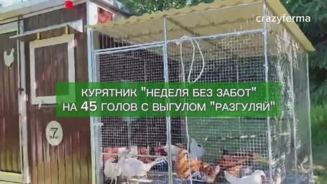 Автоматизированный Курятник для кур несушек на 45 голов с выгулом. Обслуживание 1 раз в 5-7 дней! смотреть онлайн