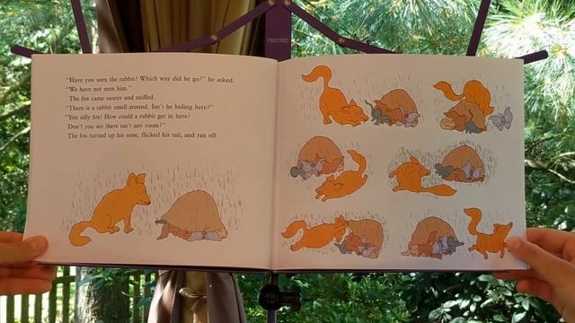 Children's Nature Story Time: Mushroom in the Rain смотреть онлайн