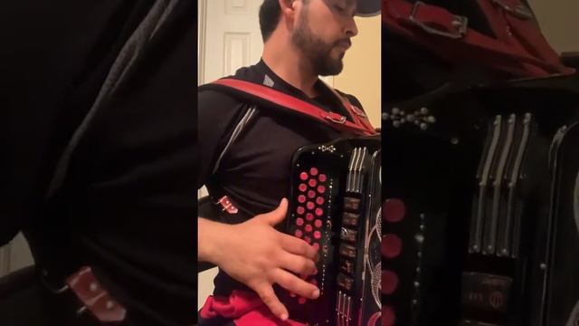 Polka stocky смотреть онлайн