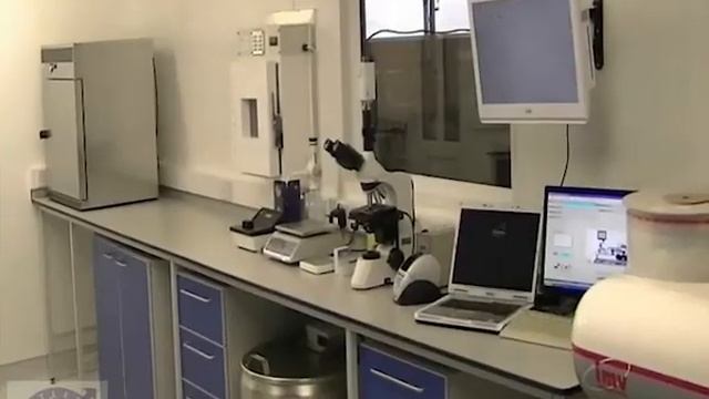 Станция искусственного осеменения свиней смотреть онлайн