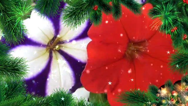 С днем рождения! Поздравления с днем рождения в январе! смотреть онлайн