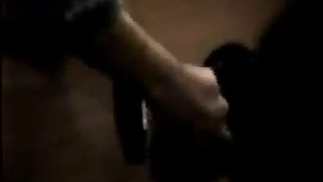 Los Rumberos - Wayne Gorbea смотреть онлайн