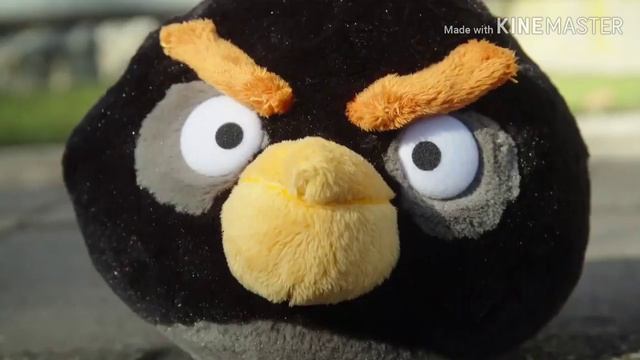 Angry Birds on The Run - Trailer (United Kingdom DVD release, 2019) - (Scollay Home Entertainment) смотреть онлайн