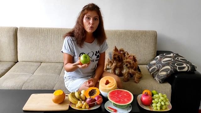 какие фрукты можно собаке смотреть онлайн