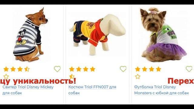 собака одежда смотреть онлайн