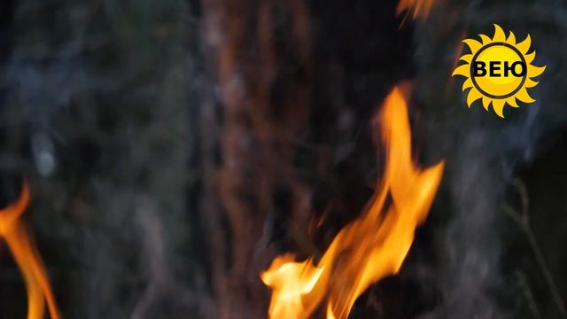 Поговорим о любви? Ответ на фразу " И что он в ней нашёл?")) смотреть онлайн