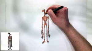 Как нарисовать сиреноголового