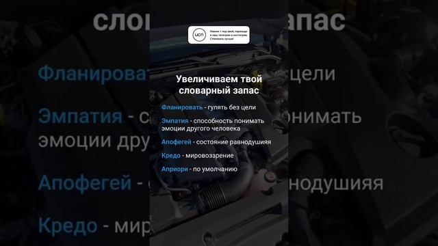 Увеличиваем твой словарный запас ? #shorts #словарныйзапас #мотивация смотреть онлайн