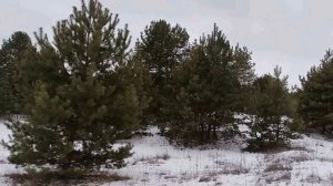 23 февраля- народный праздник День Прохора. Запреты дня. Народные приметы и традиции.