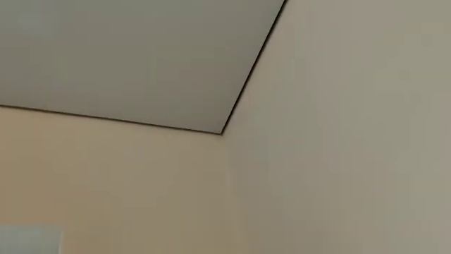 Противопожарный натяжной потолок Тектум КМ2 в Гимназии №1 Воронеж смотреть онлайн