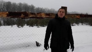 УЖАСЫ ОВЦЕВОДСТВА! ОВЦЫ ОВЦЕВОДСТВО КАК БИЗНЕС НЕ ПОЛУЧИЛОСЬ..