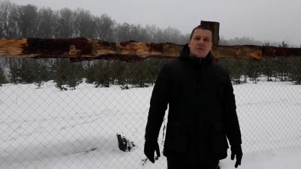 УЖАСЫ ОВЦЕВОДСТВА! ОВЦЫ ОВЦЕВОДСТВО КАК БИЗНЕС НЕ ПОЛУЧИЛОСЬ..