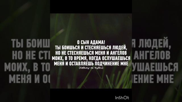 Хадисы Кудси смотреть онлайн