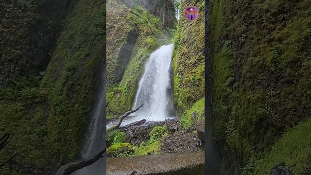 Beautiful Water Falls #meditation #shorts смотреть онлайн