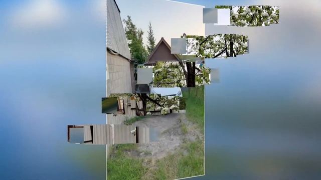 Моя дача на Волге смотреть онлайн