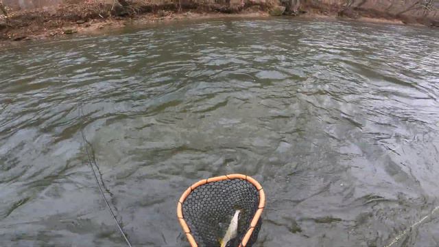 STREAMERS for BIG BROWN TROUT Pt. I смотреть онлайн