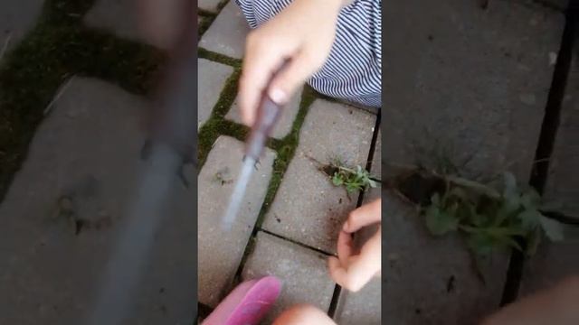 2 часть Разбираем тостер смотреть онлайн