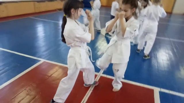 Дарина и Даша набивка в Кёкусинкай Карате смотреть онлайн