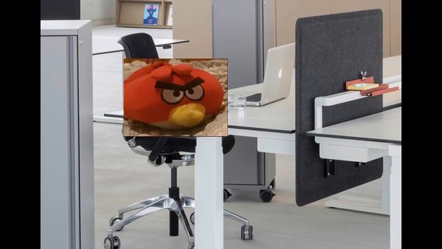 Angry Bird Face-Off (vevo) смотреть онлайн