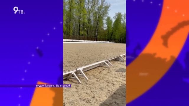 Победительница соревнований по конному спорту смотреть онлайн